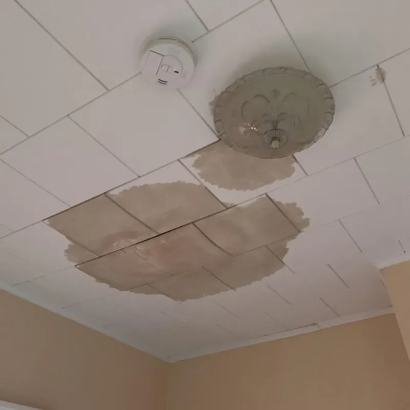 Ceiling Water Damage Repair in Horseshoe Bay, TX