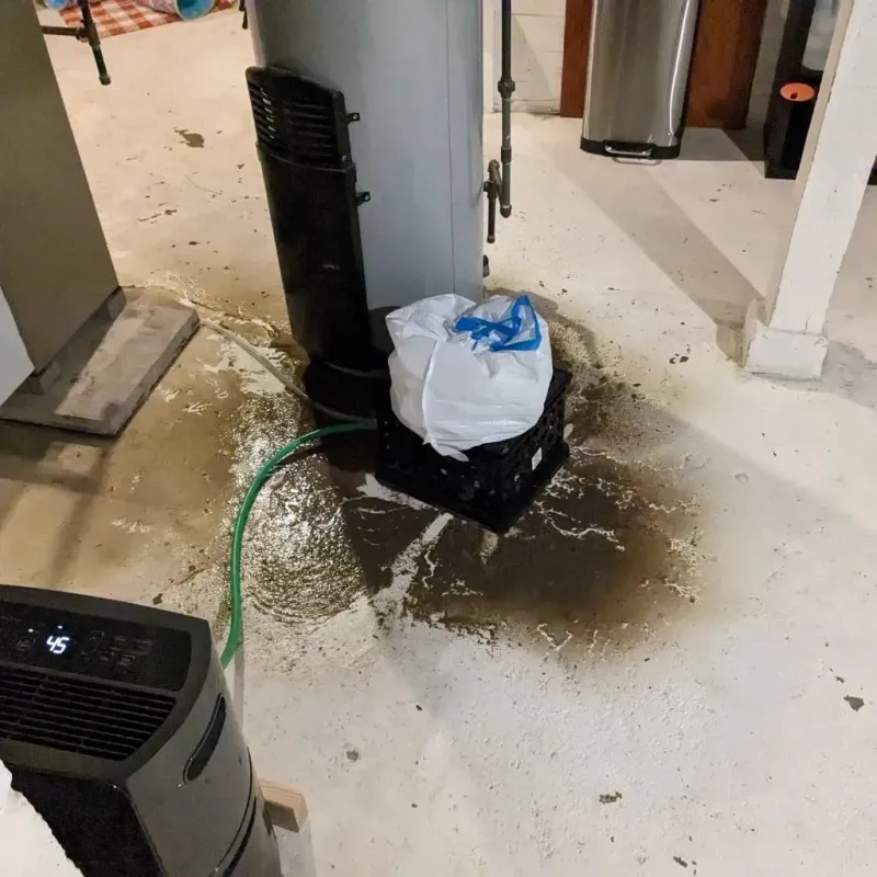 Sewage Backup Cleanup Service in Horseshoe Bay, TX